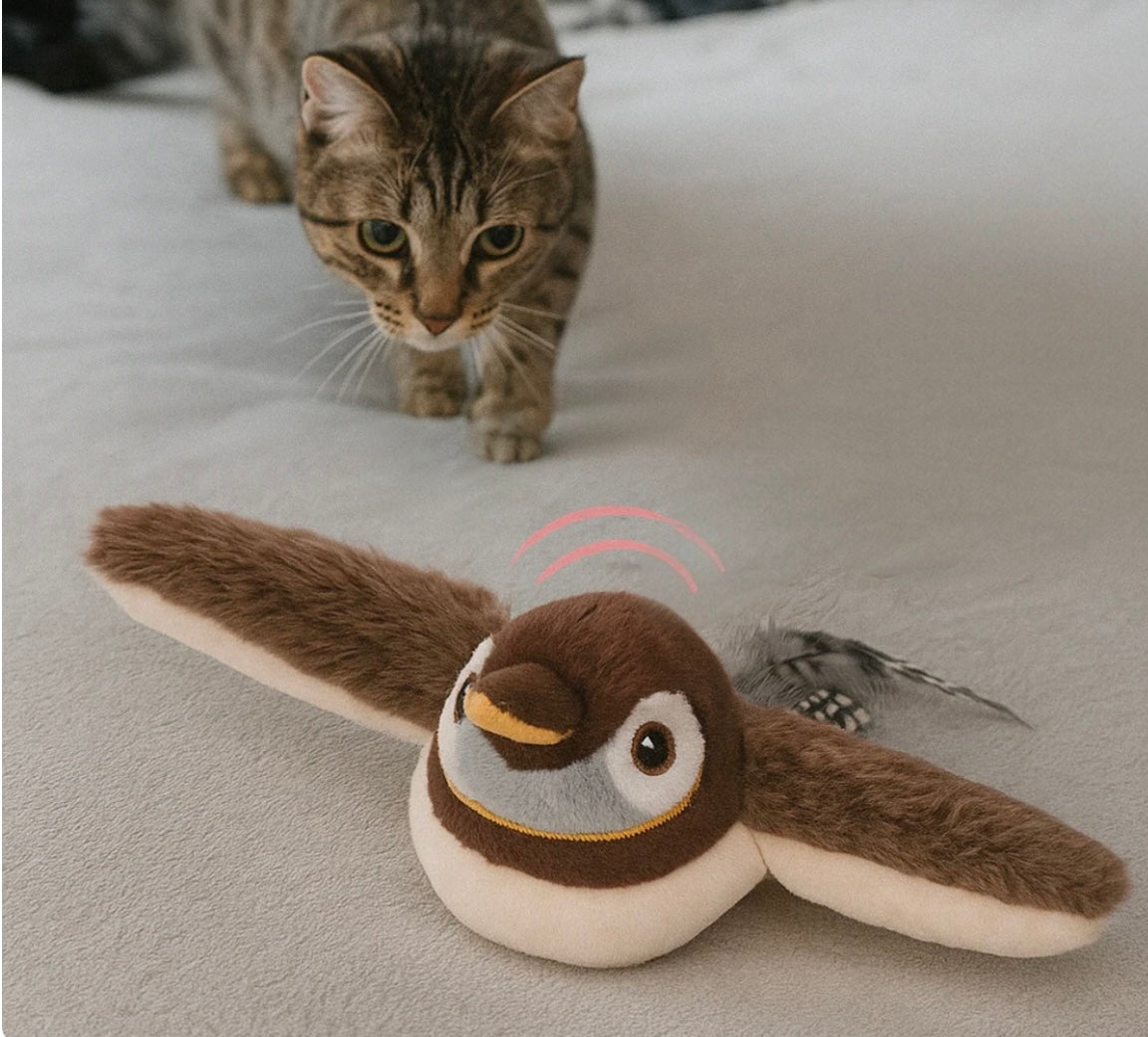 fliegendes Katzenspielzeug