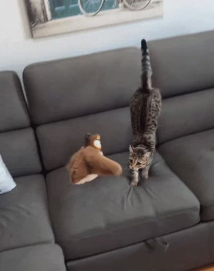 fliegendes Katzenspielzeug